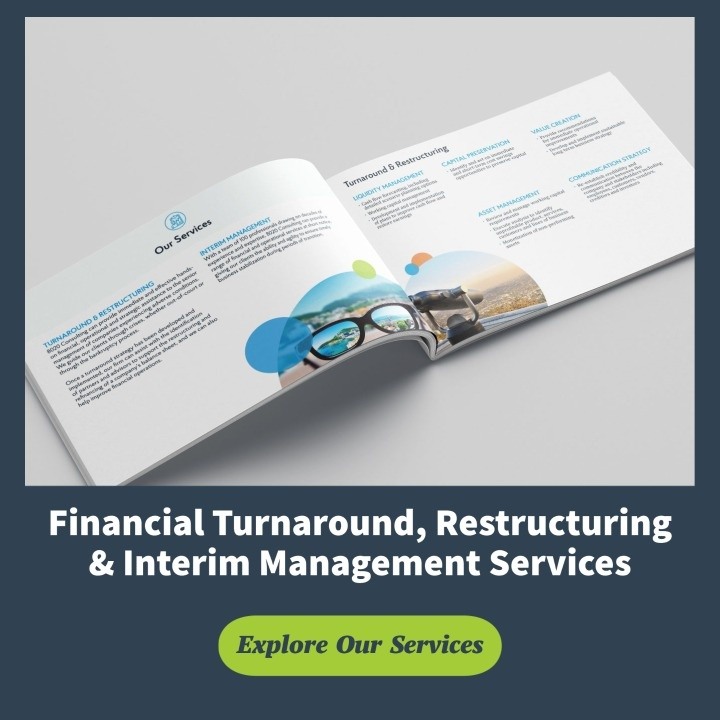 financial turnaround restructuring and interim management services