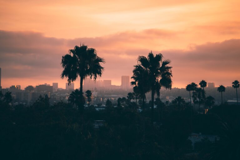 los angeles background at sunset