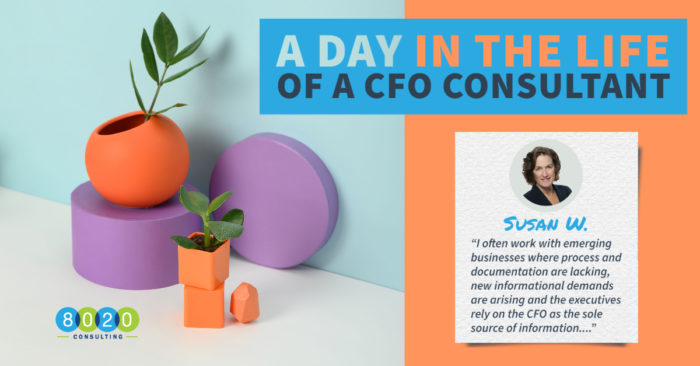 susan day in the life cfo consulting